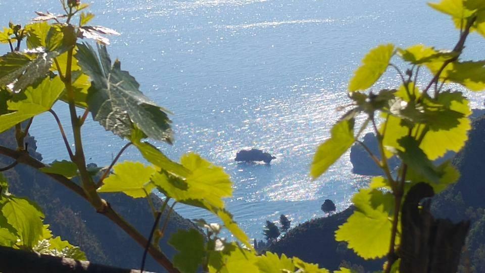 Casa Il Faro Villa Con Piscina 卡斯泰尔莫拉 外观 照片